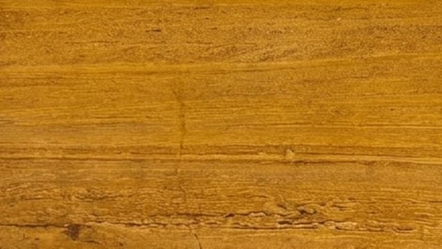 Ita Gold — Ita Gold is a limestone from Rajasthan, characterised by its light-to-medium gold. A stain-resistant, non-slip golden limestone for interior and exterior use.