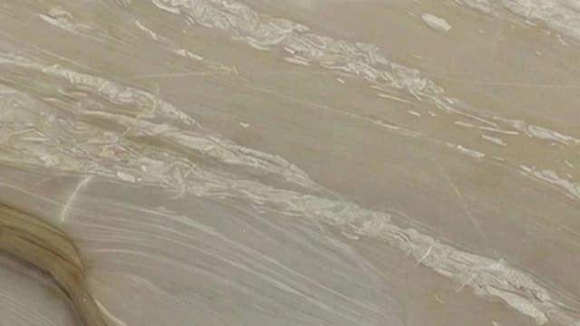 Sea Shell Quartzite — Sea Shell Quartzite is a striking natural stone with subtle shell-like fossil motifs, warm pearlescent tones, and crystalline quartz depth.