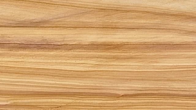 Woodland Quartzite — Woodland is a quartzitic stone from Rajasthan characterized by its warm buff-brown tones and natural wood-grain banding patterns.