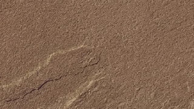 Autumn Brown — Autumn Brown is a sandstone from Rajasthan, characterised by its tan, buff and brown riven tones. Its warm autumnal palette deepens beautifully when wet.