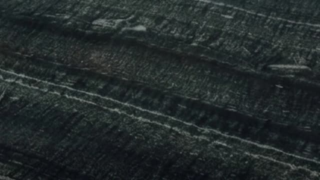 Ebony Green — Ebony Green is a sandstone from Rajasthan, characterised by its deep green-black. A dark, dramatic sandstone for bold contemporary facades.
