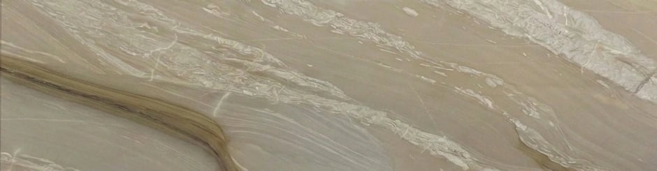 Sea Shell Quartzite