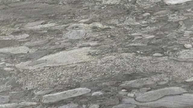Raymond Slate — Raymond is a slate from India, characterised by its grey-black blend. A consistent grey-black slate suited to cladding and flooring.